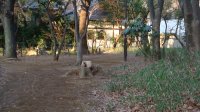 DSC00328.JPG